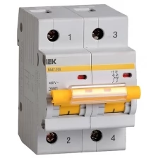 Выключатель автоматический двухполюсный 10А С ВА47-100 10кА | код MVA40-2-010-C | IEK (1 шт.)
