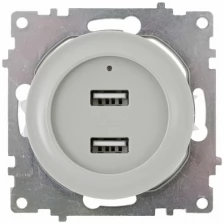 Розетка USB двойная OneKeyElectro, с подсветкой, цвет серый