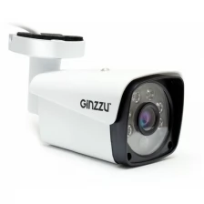 IP камера Ginzzu HIB-5303A