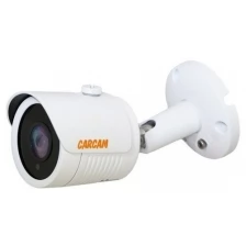 Сетевая IP-камера видеонаблюдения CARCAM CAM-2892P