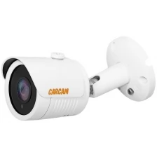 IP-камера видеонаблюдения CARCAM CAM-5692PSD