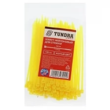 Тундра Хомут нейлоновый TUNDRA krep, для стяжки, 2.5х100 мм, цвет желтый, в упаковке 100 шт.
