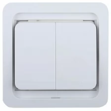 Электрический выключатель СВЕТОЗАР Гамма двухклавишный без подсветки цвет белый 10А/~250В SV-54134-W