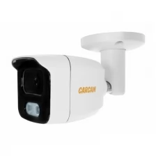 IP-камера видеонаблюдения CARCAM CAM-8692PSDA