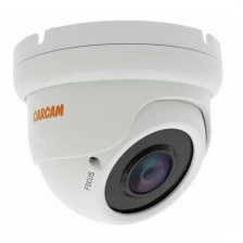 IP-камера видеонаблюдения CARCAM CAM-2897MPSDA